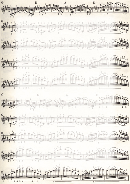 PolGer_Arkusz_ozdobne_barwne_poligrafia_dyplomy_certyfikaty_nuty_80g